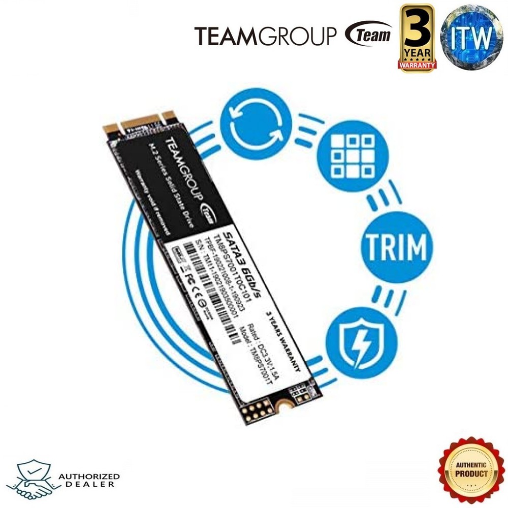 Team Group MS30 M.2 2280 SATA III TLC Internal Solid State Drive (SSD)